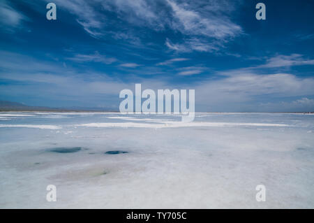 Il tè di qinghai lake Foto Stock