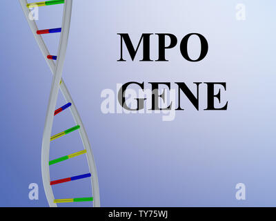 3D illustrazione del gene MPO script con la doppia elica del DNA , isolate su gradiente blu. Foto Stock