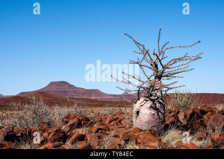 Vista del deserto a Twyfelfontein in Damaraland Namibia, Africa Foto Stock