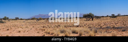 Vista del deserto a Twyfelfontein in Damaraland Namibia, Africa Foto Stock