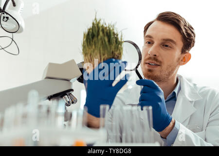 Smart giovane studiando l'erba verde Foto Stock