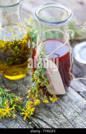 Johanniskrautöl, Johanniskraut-Öl, Rotöl, Johannisöl, hyperici oleum hyperici oleum, wird aus Johanniskrautblüten in Öl gewonnen. Olio di iperico Foto Stock
