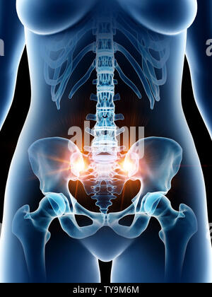 3D Rendering accurato dal punto di vista medico illustrazione di un femmine ossa pelviche Foto Stock