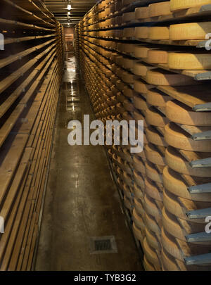 Grayerz, VD / Svizzera - 31 Maggio 2019: la cantina del formaggio Gruyeres museo e in fabbrica è stato utilizzato per la memorizzazione di lastre di formaggio fino a quando non fa maturare Foto Stock