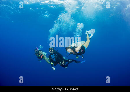 Tre subacquei (MR) nella foto 15 piedi sotto la superficie dell'isola di Maui, Hawaii. Foto Stock