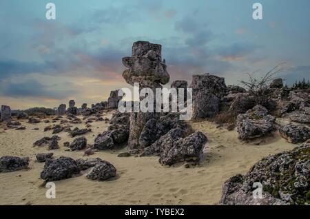 Pobiti Kamani, oppurele deserto di pietra, è un deserto-come fenomeno di roccia si trova a nord ovest della provincia di Varna confine in Bulgaria. Esso è considerato il Foto Stock