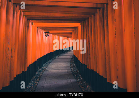 Fushimi Inari Santuario è un importante santuario scintoista nel sud di Kyoto, Giappone. È famoso per le sue migliaia di vermiglio torii cancelli che cavallo di una Foto Stock