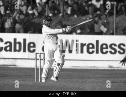 Cricket 1991 David Boon - Australia Foto di Tony Henshaw Foto Stock