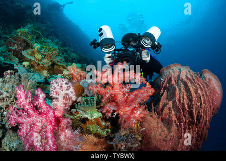 Un fotografo (MR) linee con una reflex in un alloggiamento con un obiettivo macro per sparare soft coral dettaglio, Indonesia. Foto Stock