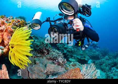 Un fotografo (MR) linee con una reflex in un alloggiamento con un obiettivo macro per sparare con dettagli su questo crinoide, Indonesia. Foto Stock