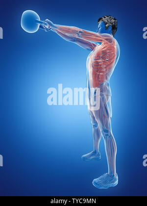 3D Rendering accurato dal punto di vista medico illustrazione di un uomo che fa un allenamento kettlebell Foto Stock