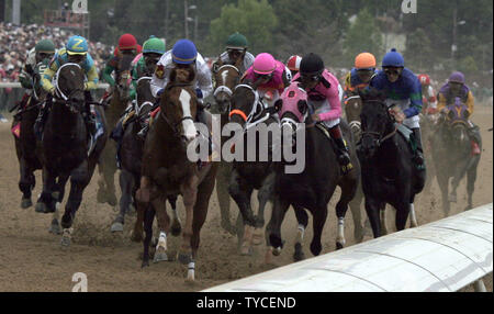 Il campo viene giù la retta via all'inizio del Derby del Kentucky a Churchill Downs Louisville, nel Kentucky il 7 maggio 2010. John R. Valazquez riding regno animale ha vinto la 137in esecuzione di UPI /Mark Cowan Foto Stock