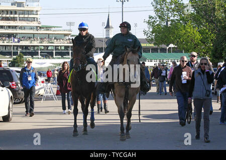 Kentucky Derby speranzoso Battaglia di Midway è seguita da un folto gruppo di fan del genere racing torna al suo granaio dopo un inizio di mattina allenamento in pista al Churchill Downs a Louisville, Kentucky, 2 maggio 2017. Trainer Jerry Hollendorfer sta preparando il suo cavallo per la 143in esecuzione del Derby del Kentucky che si terrà a Churchill Downs il 6 maggio. Foto di John Sommers II/UPI Foto Stock