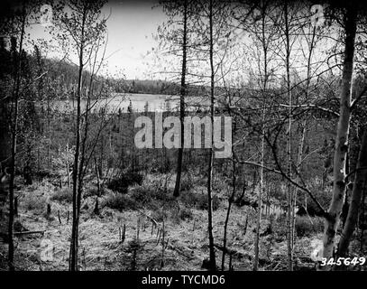 Fotografia di McKinley lago; la portata e il contenuto: didascalia originale: McKinley lago dal punto E guardando a sud-est, che mostra il punto più largo di inizio flowage a tre Johns Lago. Questo flowage è piuttosto stretto ed è fiancheggiato con altopiano sul quale il tipo di copertura è bianco e betulla aspen alberelli intermediato con m. Foto Stock