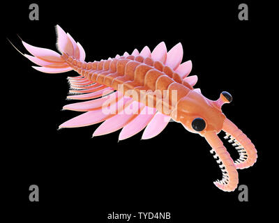 3d reso illustrazione di un pre-storica creatura marina - anomalocaris Foto Stock