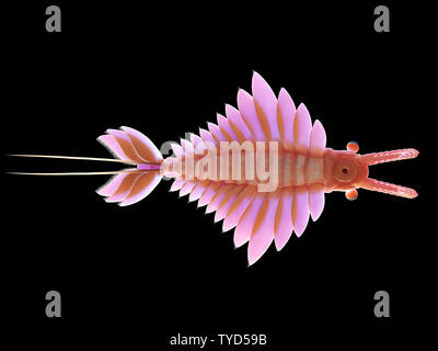 3d reso illustrazione di un pre-storica creatura marina - anomalocaris Foto Stock