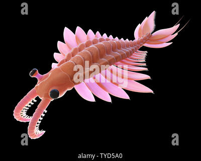 3d reso illustrazione di un pre-storica creatura marina - anomalocaris Foto Stock