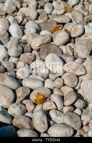 Mare pietre levigate dall'acqua, presa su di una spiaggia rocciosa Foto Stock