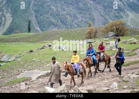 Panchchuli Himalaya, Munsiyari Uttarakhand India Ottobre 2018 - prendendo un trekking a cavallo nei prati Himalayana con maestose Panchchuli Himalaya un Foto Stock