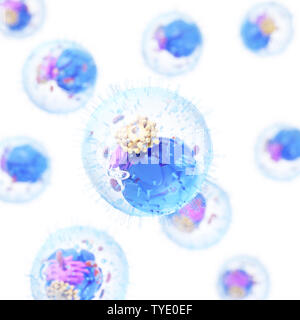 3d reso illustrazione di una cellula umana Foto Stock