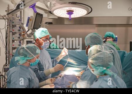 Cuore chirurgo prof. Richard Frey con il team durante una operazione al cuore in sala operatoria, Bundeswehr Ospedale Centrale Koblenz, Renania-Palatinato Foto Stock