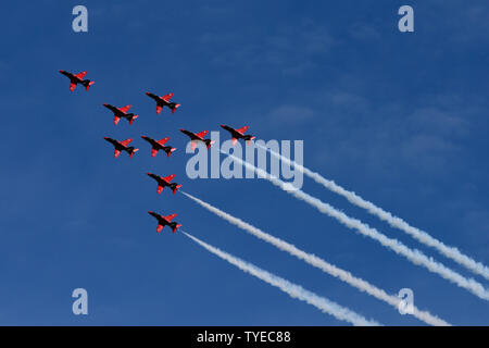 Le frecce rosse a Torbay air show 2019 Foto Stock