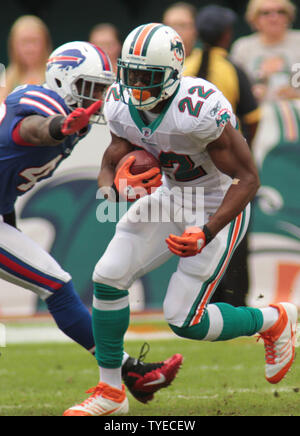 Delfini di Miami runningback Reggie Bush (22) assume una snap durante la prima metà dell'azione tra i delfini di Miami e le fatture della Buffalo il 20 novembre 2011 a Sun Life Stadium di Miami, Florida. UPI/Susan Knowles. Foto Stock