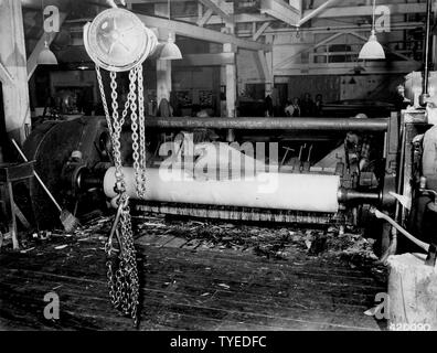 Fotografia di piallaccio tagliato, campo di applicazione e il contenuto: didascalia originale: piallaccio tagliato dalla vite 100 su grandi tornio per piallaccio. Foto Stock