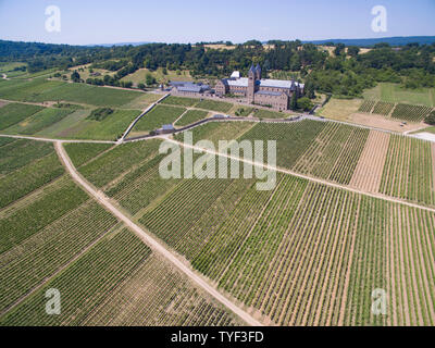 26 giugno 2019, Assia, Rüdesheim: l'Abbazia di Santa Ildegarda sopra Rüdesheim è circondato dal verde delle vigne (vista aerea con un drone). A temperature di 35 gradi all'ombra è molto più fresco all'interno del le mura del monastero. Foto: Boris Roessler/dpa Foto Stock