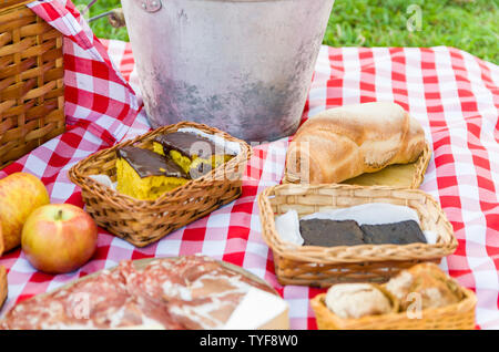 Grande concetto di pic-nic, pic-nic con frutta e succhi di frutta sul prato verde con bella vista Foto Stock