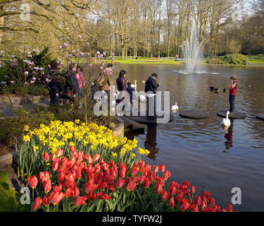 Turisti si riuniscono presso i giardini Keukenhof vicino a Lisse, Paesi Bassi il 6 aprile 2007. Il Parco apre agli inizi di aprile per sei settimane, segnalando l'inizio di primavera nel Nord Europa. Keukenhof è rivestita di moquette di colore da milioni di fiori e piante ed è visitato da migliaia di turisti provenienti da tutto il mondo. (UPI foto/Joe Marino) Foto Stock