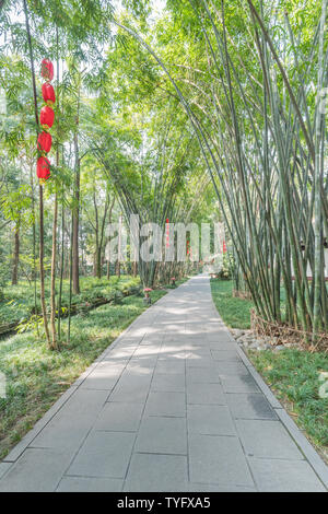 Foresta di Bamboo prugna Fiore strada prato in primavera a Chengdu, Cina Foto Stock