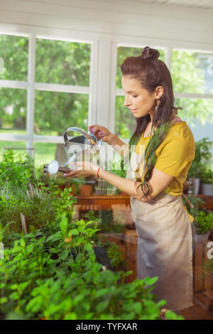 Fioraio di bellissimi fiori di irrigazione nel suo negozio. Foto Stock