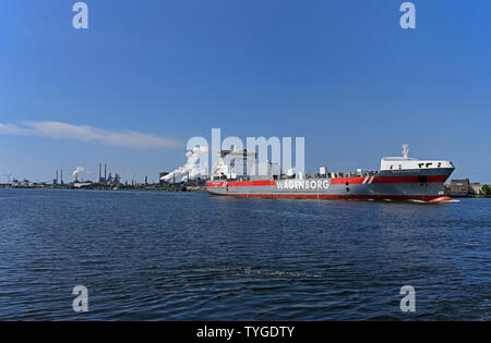 Ijmuiden, Paesi Bassi - 2019.06.17: ro-ro nave oranjeborg (imo# 9232797) sul mare del Nord in entrata sul canale di amsterdam / background: tata steel wo Foto Stock