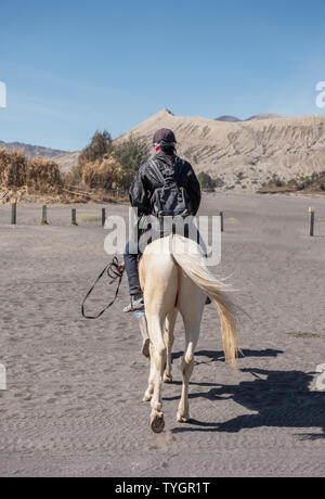 Parte posteriore turista in sella ad un cavallo bianco sul deserto con vulcano Foto Stock