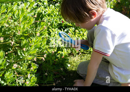 Little Boy alla ricerca di bug utilizzando una lente di ingrandimento in giardino Foto Stock