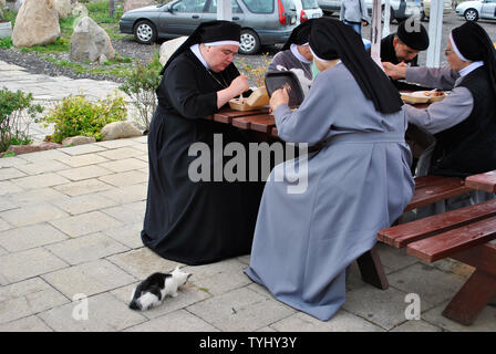 Swiebodzin - Polonia / Settembre 19 2011, gruppo di pellegrinaggio delle monache è avente il proprio pasto e anche alimentare un locale gattino randagio che mostra la misericordia al più piccolo Foto Stock