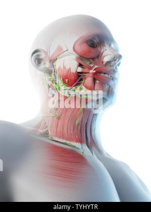 3d reso illustrazione di un mans Foto Stock