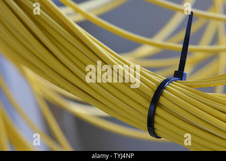 Patch cord in fibra di rete ottica Foto Stock