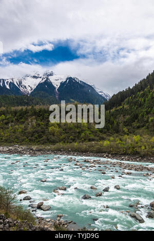 Paesaggio naturale dell'Nyingzhi Niyang River, Tibet, Cina Foto Stock