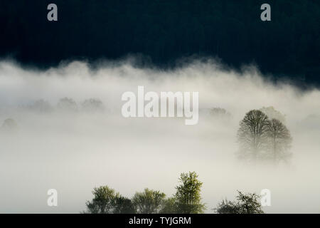 Paesaggio di nebbia, vicino Oberweser, Weser Uplands, Weserbergland, Hesse, Germania Foto Stock