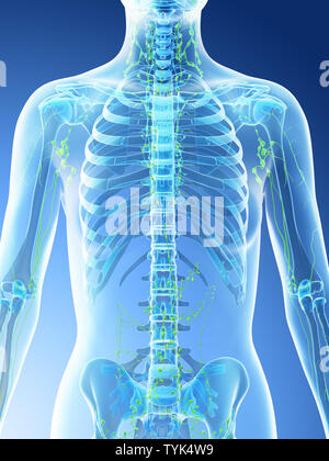 3d reso illustrazione di un femmine linfa toracica nodi Foto Stock