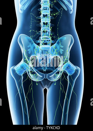 3d reso illustrazione di un femmine addominale linfonodi Foto Stock