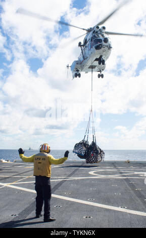 190625-N-QO047-1398 OCEANO PACIFICO (25 giugno 2019) dell'aviazione di Boatswain Mate (manipolazione) 3° di classe Walter Rutherford, dal Cheyenne Wyoming, segnali per una SA-330 Puma elicottero che trasporta il carico per il trasporto anfibio dock nave USS Green Bay (LPD 20) durante un rifornimento verticale con i militari Sealift il comando di carichi secchi e munizioni nave USNS Richard E. Byrd (T-AKE 4). Green Bay, parte della Vespa Anfibia Gruppo pronto, con avviato 31 Marine Expeditionary Unit, è operativo nell'Indo-Pacifico regione per migliorare l'interoperabilità con i partner e servire come un pronto-res Foto Stock