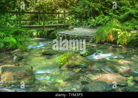 Il fiume Trevillet interrompe il suo modo attraverso il tardo Devoniano ardesia per creare la magnifica gola che forma parte della St Nectans Glen vicino Trethevy in Foto Stock