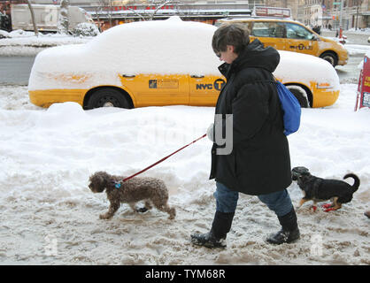 Una donna cammina i suoi cani passato un innevamento programmato in cabina lungo Broadway sulla Upper West Side dopo una tempesta oggetto di pratiche di dumping su otto centimetri di neve su gennaio 12, 2011 a New York City. La città cavata bene dopo questa tempesta rispetto al 27 dicembre blizzard che ha portato in tante strade unplowed sinistro e il trasporto di massa di incubi. UPI /Monika Graff Foto Stock