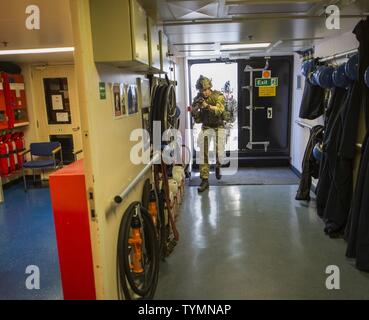 I membri del servizio assegnato al comandante del Task Group 56.1 (CTG 56.1), l'eliminazione degli ordigni esplosivi unità mobile (EODMU) 1, e l'45 Commando Royal Marines imbarcati a bordo RFA Lyme Bay (L 3007), exchange Close Quarters Battle tecniche durante REGNO UNITO-STATI UNITI Contromisure Mine esercizio 17-1. La bilaterale di esercizio serve a rafforzare la cooperazione reciproca capacità di MCM e interoperabilità tra gli Stati Uniti ed il regno unito le forze navali nel garantire un libero flusso di commercio, la libertà di navigazione e a lungo termine la sicurezza regionale. EODMU-1 è attualmente implementato in sostegno del CTG 56.1. CTG-56.1 conduce countermeas miniera Foto Stock