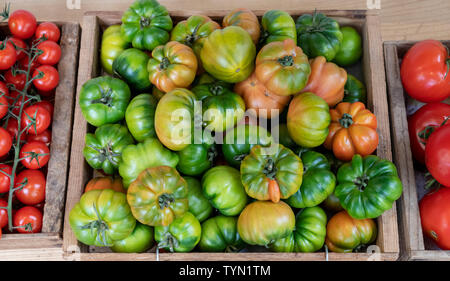 Pomodori organici per la vendita a Daylesford Organic farm shop festival estivi. Daylesford, Cotswolds, Gloucestershire, Inghilterra Foto Stock