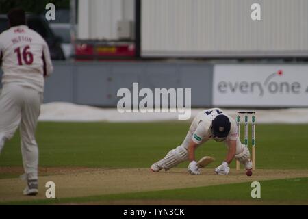 Chester le street, Inghilterra, 11 giugno 2019. Durham battitore Ben Raine caduta come egli è intrappolato LBW da Brett Hutton del Northamptonshire durante il loro Specsavers County Champioship corrispondono a Emirates Riverside. Foto Stock