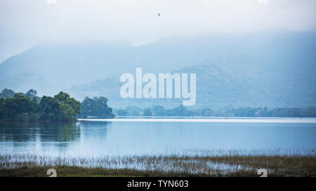 Bellissima vista la mattina presto in Danbler, centro dello Sri Lanka Foto Stock